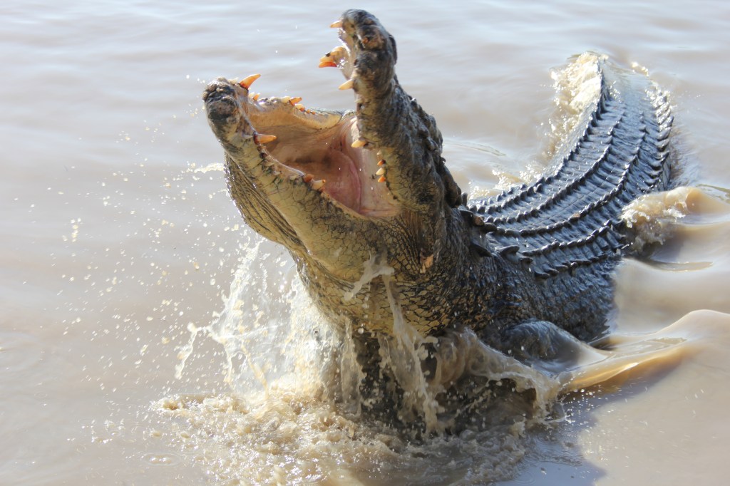 allisonwest_jan2017open_toocloseforcomfort