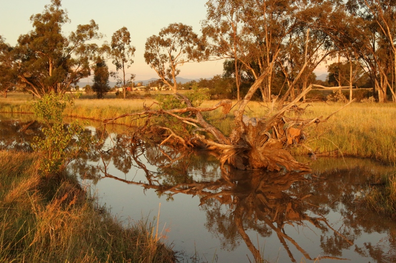 jdolbel_jan_reflectionssm