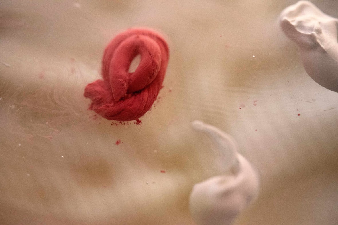 angela_june_abstract