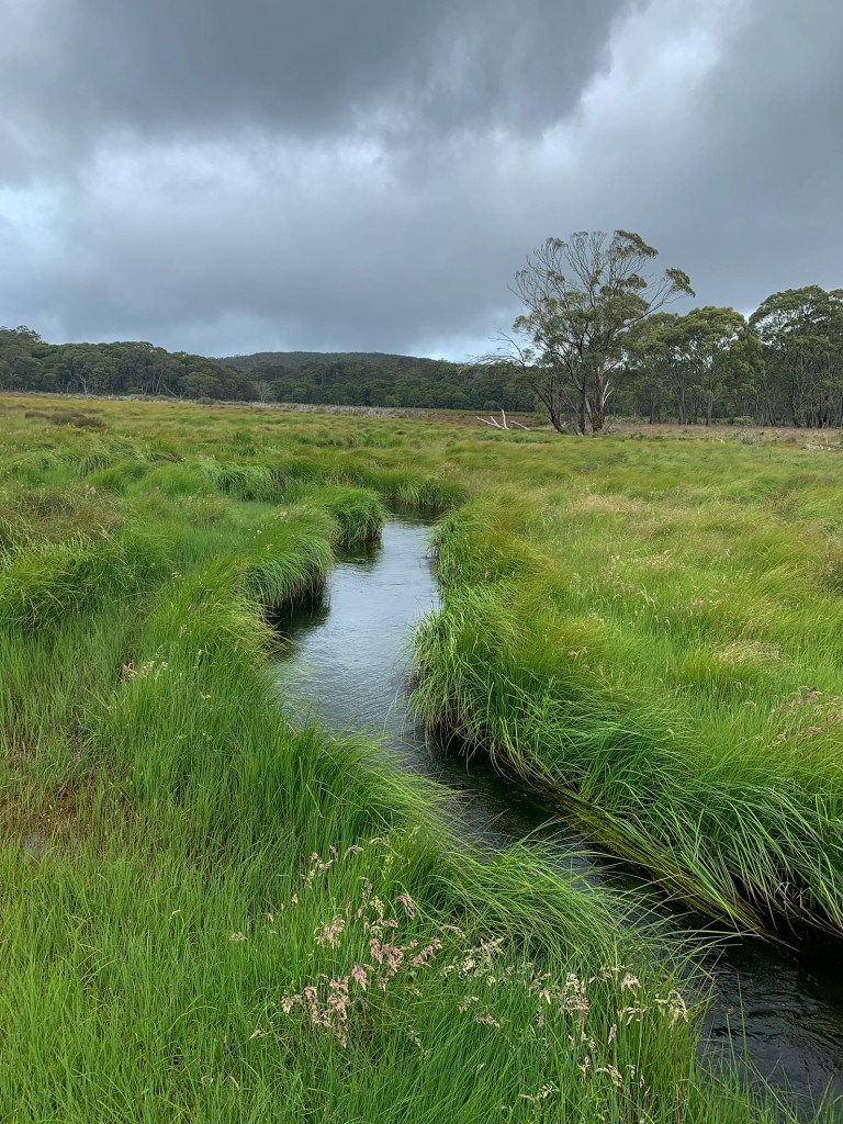 This image has an empty alt attribute; its file name is ah_img_1445_water.jpg